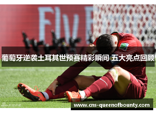 葡萄牙逆袭土耳其世预赛精彩瞬间 五大亮点回顾