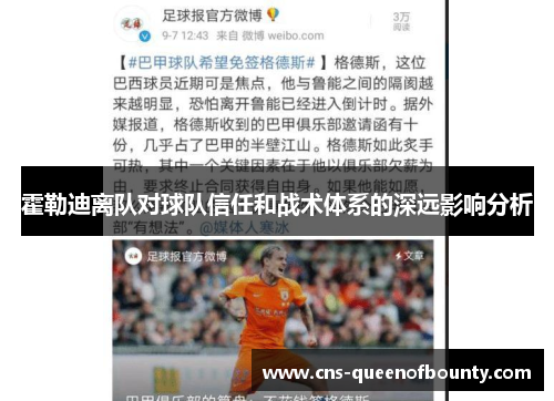 霍勒迪离队对球队信任和战术体系的深远影响分析